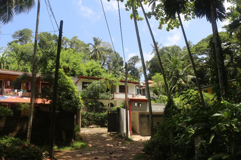 Jungle Guest House Galle Buitenkant foto