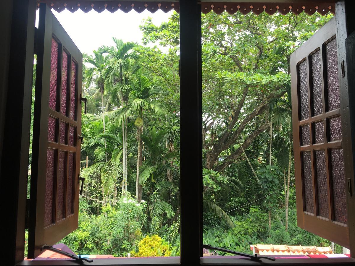 Jungle Guest House Galle Buitenkant foto